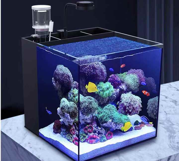 2024 Homeuse Small Acrylic Protein Skimmer for Fish Tank Solid Filter Made of PP - view 5