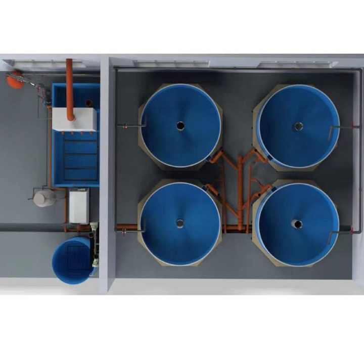 RAS Sturgeon Farming System Small Factory Recirculating Aquaculture Equipment