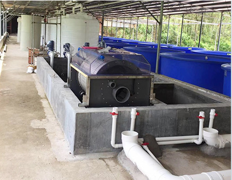RAS Sturgeon Farming System Small Factory Recirculating Aquaculture Equipment - view 5