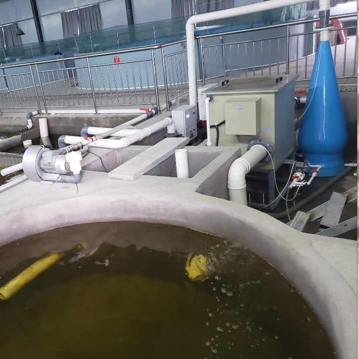 FRP High Dissolved Aquaculture Oxygen Cone for Fish Farm Water with Oxygen Concentrator - view 5