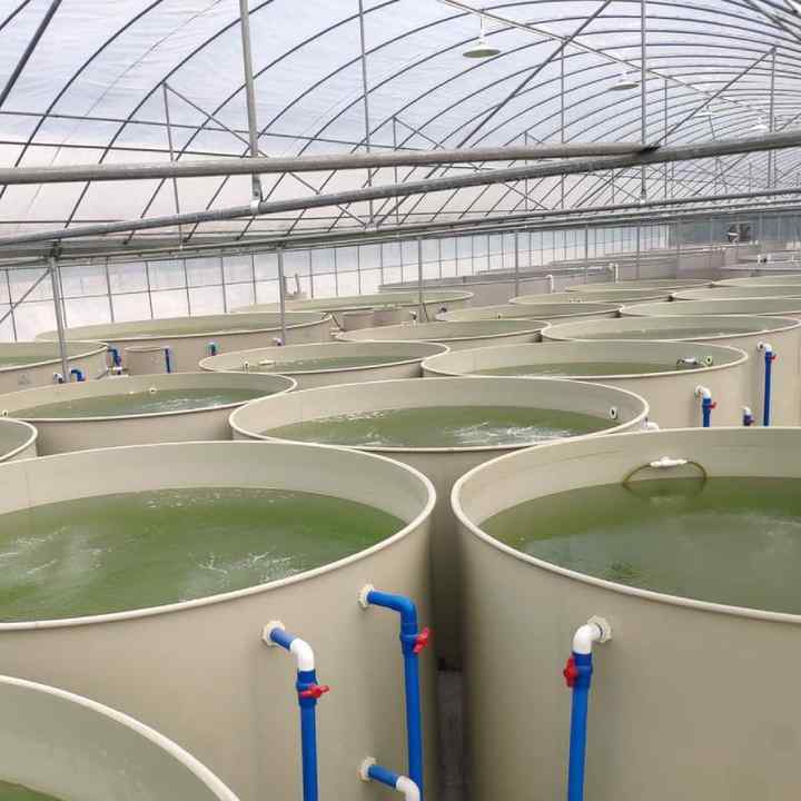 Factory Aquaculture Equipment Recirculating Aquaculture System High Efficiency High Density Aquaculture Pond