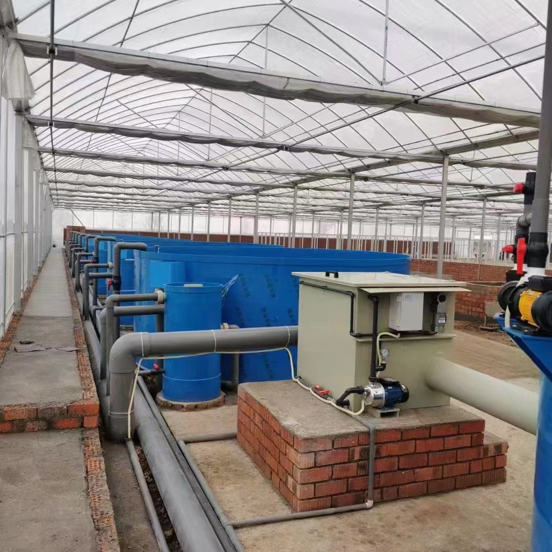 Chile fish farm Project