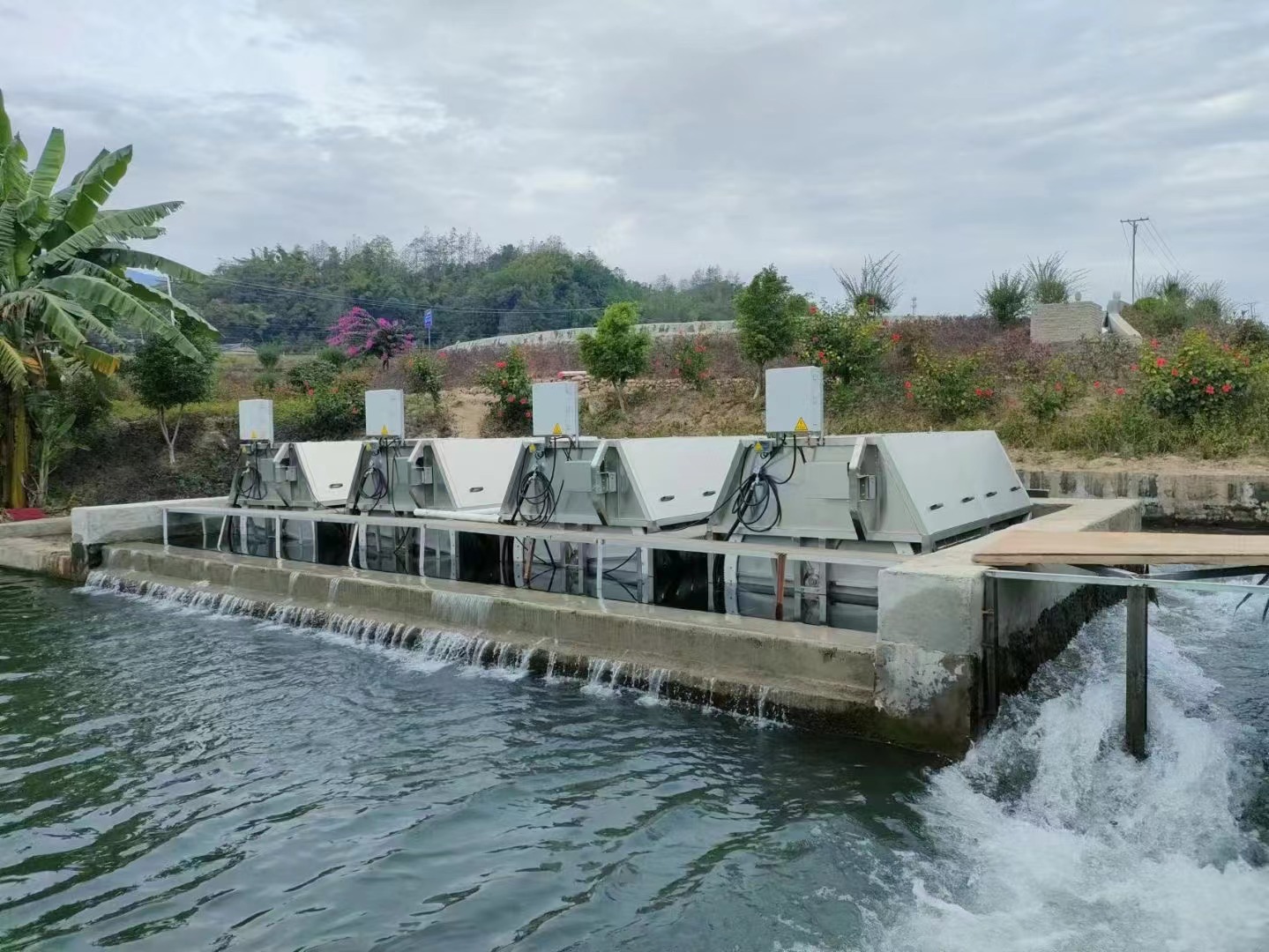 Chinese fish farm project