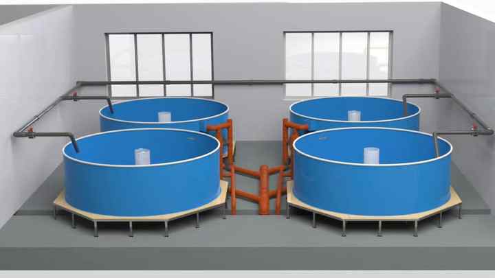 Factory Aquaculture Equipment Recirculating Aquaculture System High Efficiency High Density Aquaculture Pond - view 3