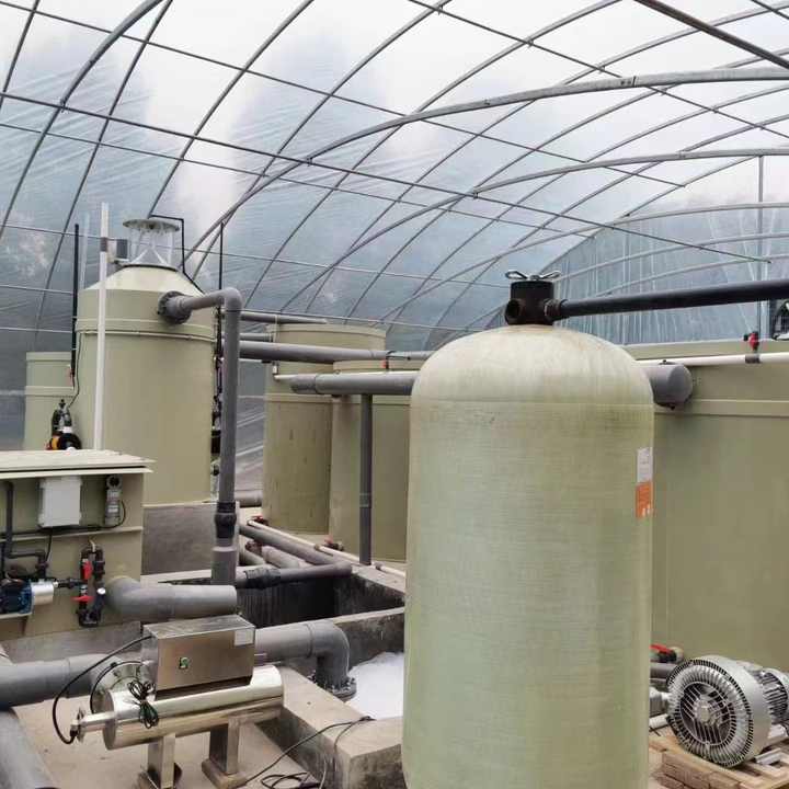 RAS Sturgeon Farming System Small Factory Recirculating Aquaculture Equipment - view 4
