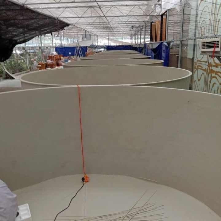 PP Factory Indoor and Outdoor Fish ponds Environmentally Friendly PP Fish ponds Customizable RAS System - view 3