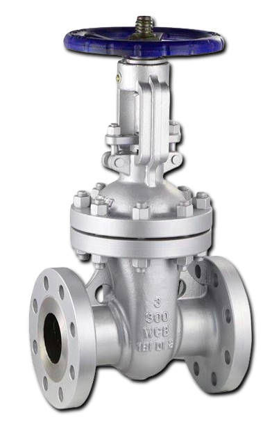 ANSI Stainless Steel Gate Valve